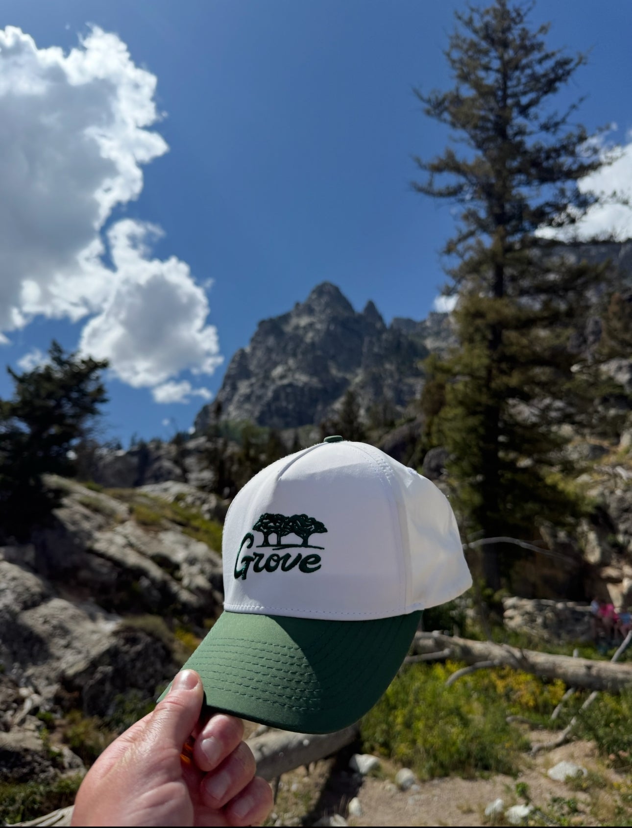 Grove Signature Magnet Hat